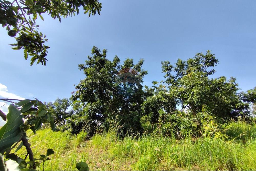 Chácara / Sítio / Fazenda - Venda - Itapira , São Paulo - 1751510168478.jpg - 690291077-251