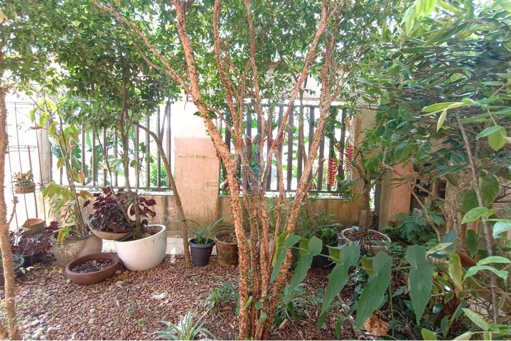 Casa - Venda - Bertioga , São Paulo - jardim b.jpeg - Jardim Interno - 690341032-10