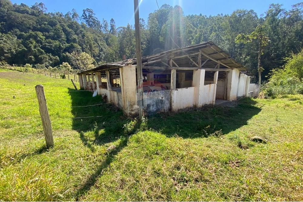 Chácara / Sítio / Fazenda - Venda - Joanópolis , São Paulo - e5c3a43d-cf68-48bf-86b7-80cd4ed7c14d.jpeg - 690041107-19