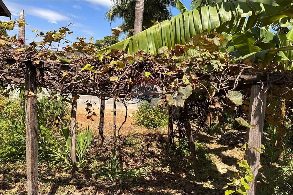 Chácara / Sítio / Fazenda - Venda - Capivari , São Paulo - foto 19.jpg - 690091006-483