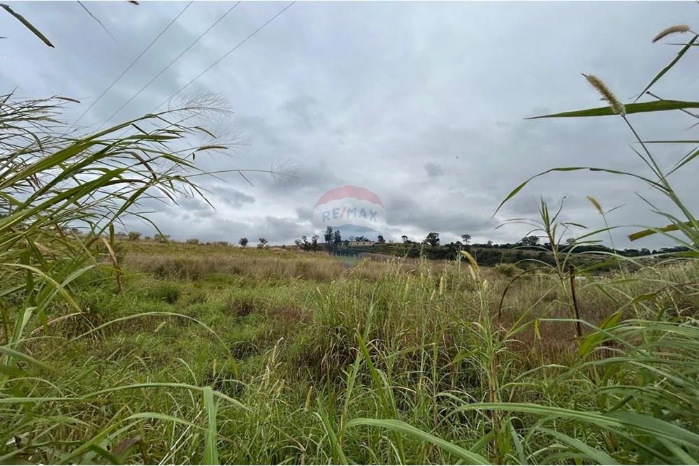 Terreno - Venda - Jarinu , São Paulo - WhatsApp Image 2025-07-04 at 18.07.14 (6).jpeg - 690661027-116