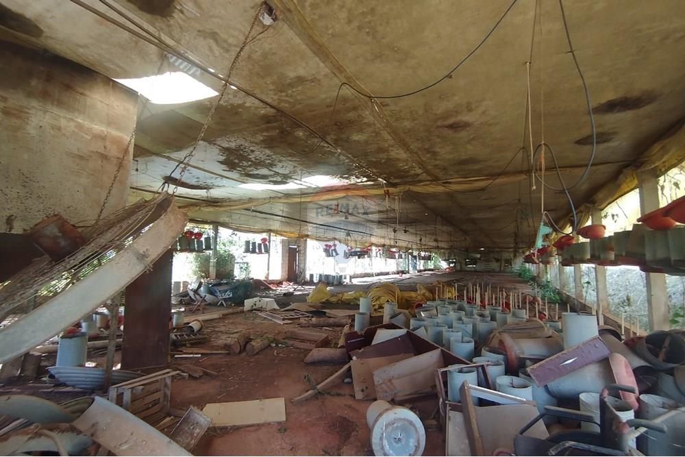 Chácara / Sítio / Fazenda - Venda - Itapira , São Paulo - IMG_20250620_135158.jpg - 690521014-142