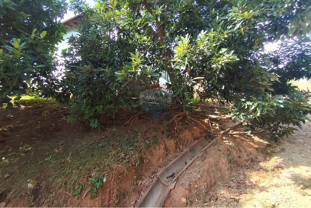 Chácara / Sítio / Fazenda - Venda - Itapira , São Paulo - 1751510168863.jpg - 690291077-251