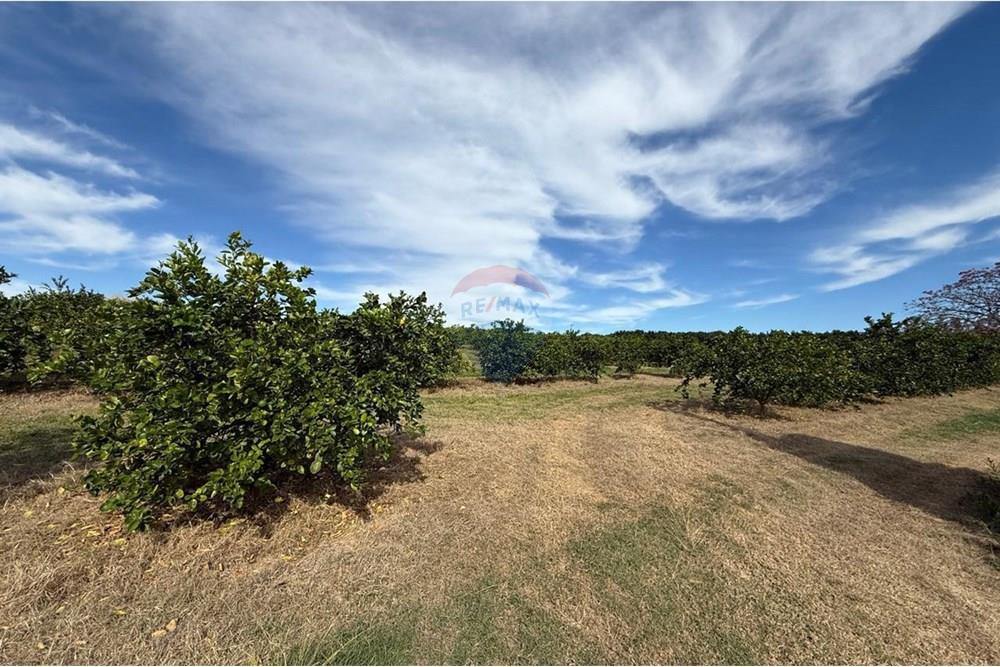 Chácara / Sítio / Fazenda - Venda - Itapira , São Paulo - WhatsApp Image 2025-07-07 at 10.48.33.jpeg - 690521014-143