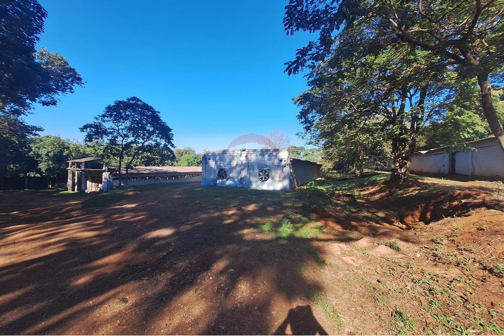 Chácara / Sítio / Fazenda - Venda - Conchal , São Paulo - 20250617_141135.jpg - 690751019-291