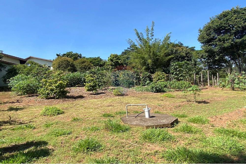 Chácara / Sítio / Fazenda - Venda - Jarinu , São Paulo - Z27.JPEG - 691121002-22