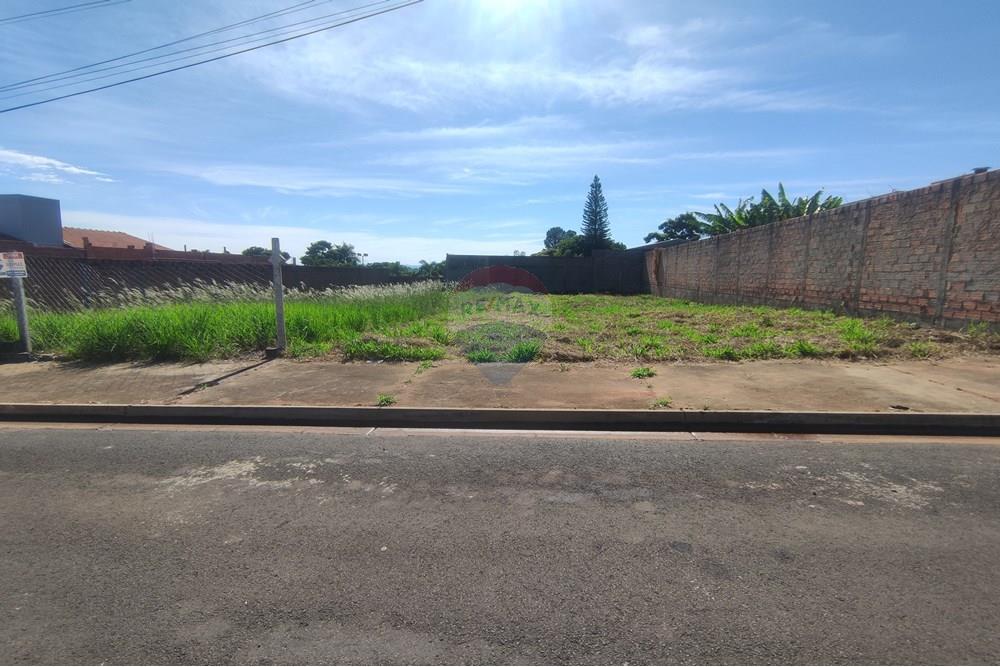 Terreno - Venda - Mogi Mirim , São Paulo - IMG_20250417_093205.jpg - 690751048-122