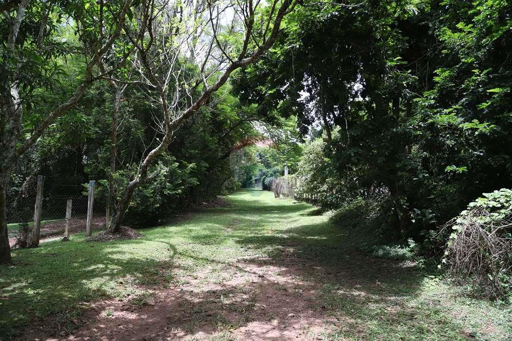 Chácara / Sítio / Fazenda - Venda - Jarinu , São Paulo - IMG_6679.JPG - 690661027-129