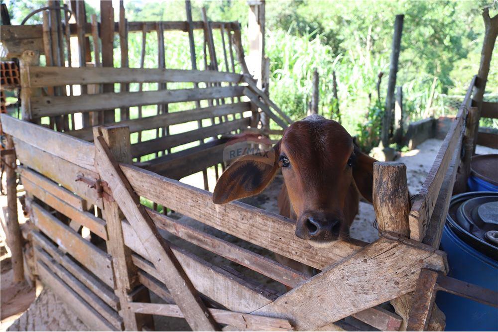Sítio em Jarinu/São Paulo — Ref 6B2Y87 — Imagem 26