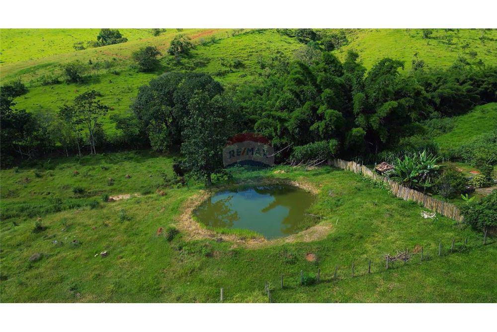 Chácara / Sítio / Fazenda - Venda - Lindóia , São Paulo - 3 - 690291077-223