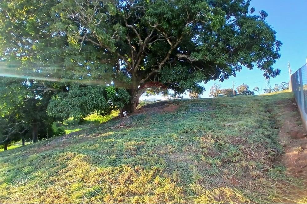 Chácara / Sítio / Fazenda - Venda - Itapira , São Paulo - WhatsApp Image 2025-04-22 at 08.34.37.jpeg - 690291039-40