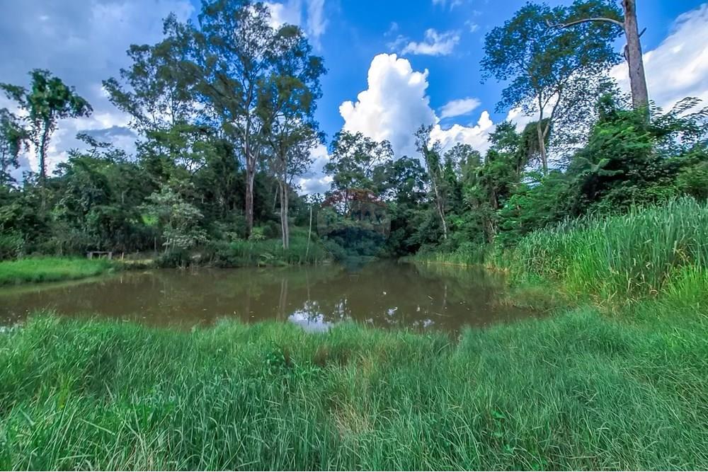 Chácara / Sítio / Fazenda - Venda - Araras , São Paulo - Tratada-62.jpg - 690691016-236