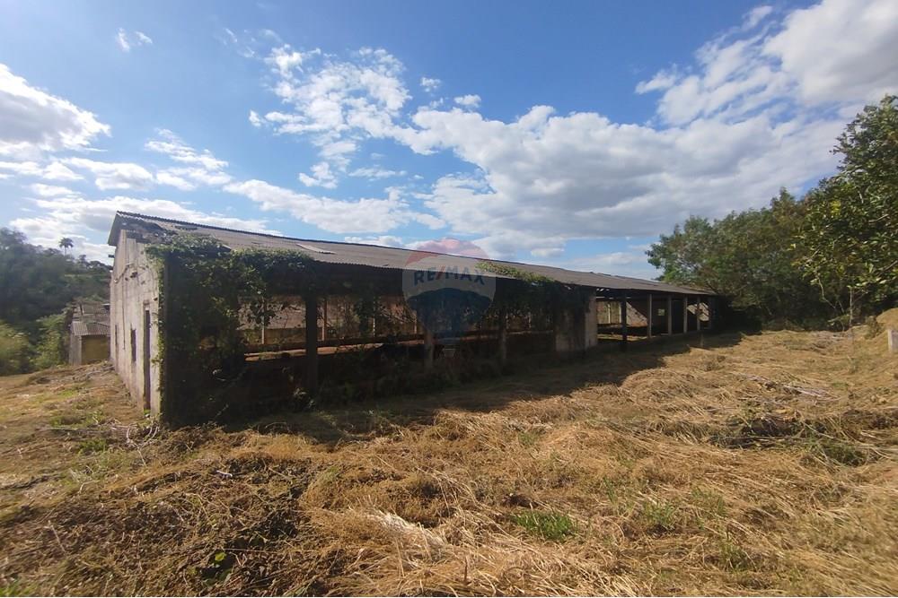 Chácara / Sítio / Fazenda - Venda - Itapira , São Paulo - IMG_20250620_135246.jpg - 690521014-142