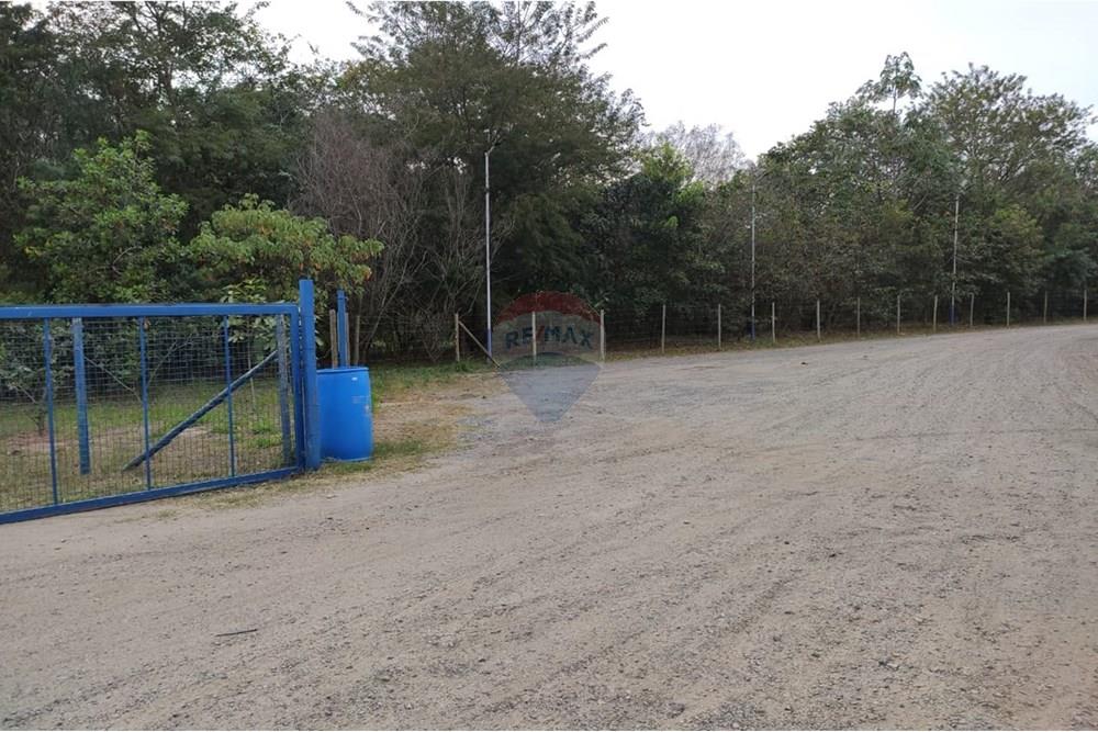 Galpão - Alugar - Atibaia , São Paulo - IMG-20250822-WA0223.jpg - 690471100-183