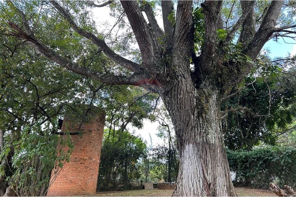 Chácara / Sítio / Fazenda - Venda - Jarinu , São Paulo - WhatsApp Image 2025-03-31 at 15.03.34.jpeg - 690661027-107