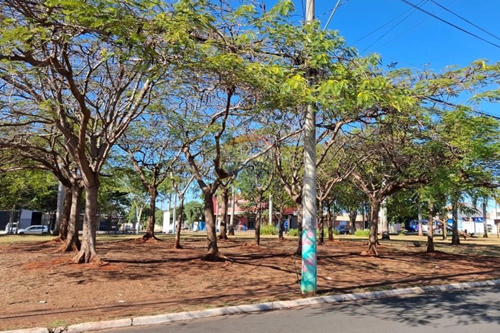 Terreno - Venda - Sumaré , São Paulo - WhatsApp Image 2025-07-31 at 10.21.33 (1).jpeg - 690511208-23