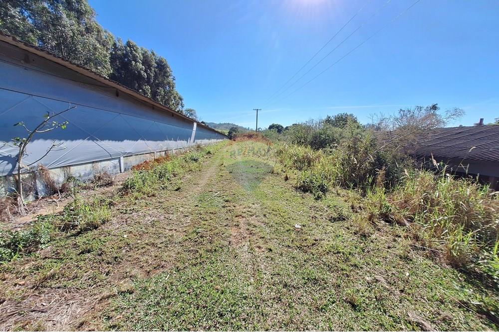 Chácara / Sítio / Fazenda - Venda - Itapira , São Paulo - 20250626_103809.jpg - 690751048-290