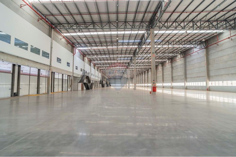 Galpão - Alugar - Sumaré , São Paulo - foto imobiliarias- BRMAKER-12.jpg - 690511223-2