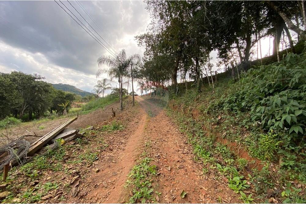 Terreno - Venda - Socorro , São Paulo - IMG-20250713-WA0558.jpg - 690291077-224