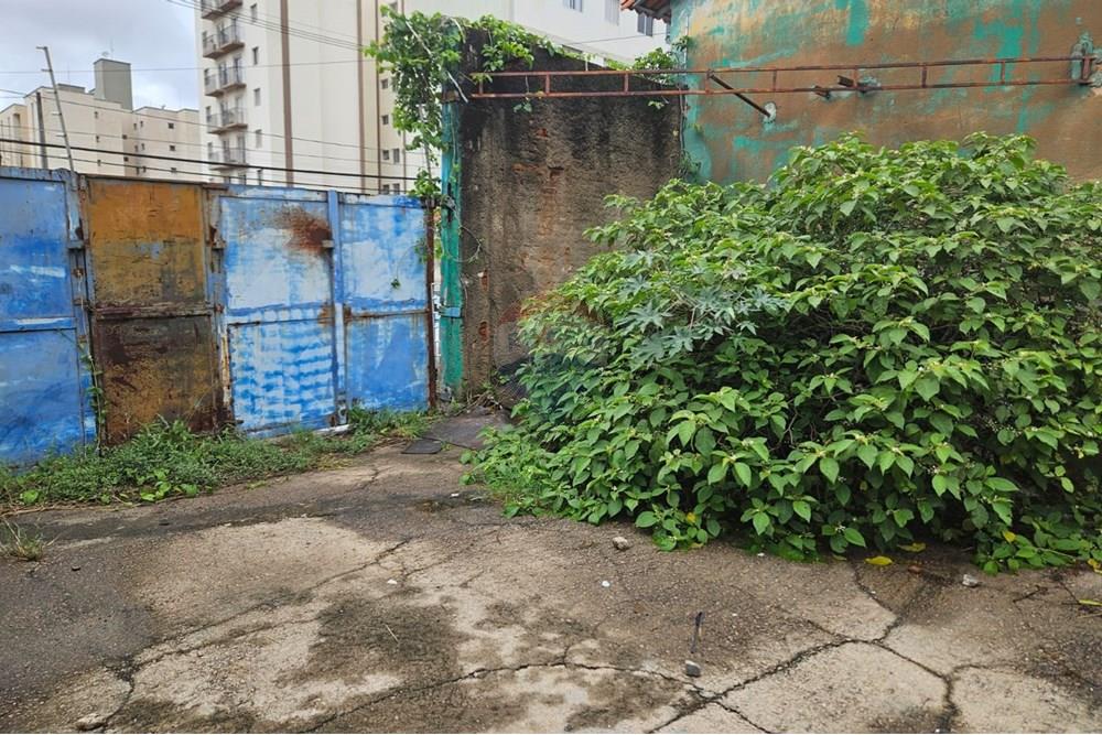 Galpão - Alugar - Campinas , São Paulo - 15.jpg - 690681019-902