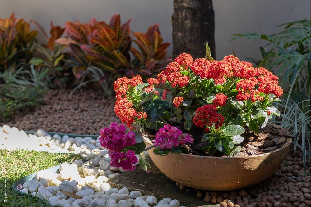 Casa de Condomínio - Venda - Campinas , São Paulo - TKD-5770.jpg - Quintal - 690681118-96