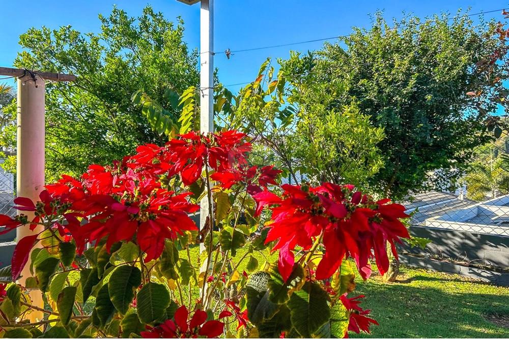 Casa de Condomínio - Alugar - Louveira , São Paulo - IMG-20250929-WA0059.jpg - 690941027-34