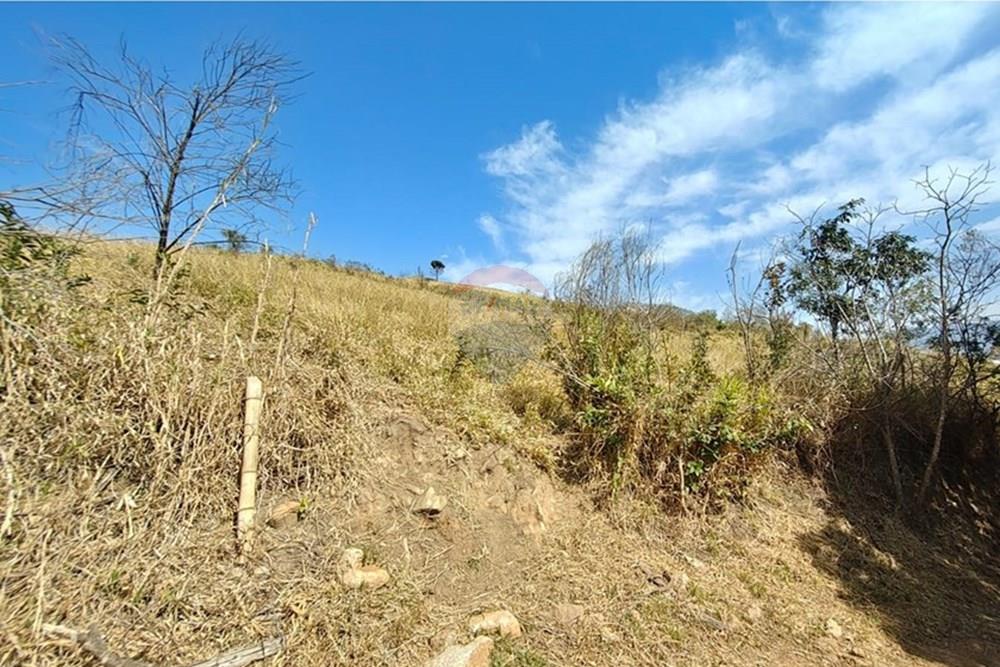 Terreno - Venda - Joanópolis , São Paulo - Imagem do WhatsApp de 2025-09-19 à(s) 11.52.12_c9705be6.jpg - 691011025-2