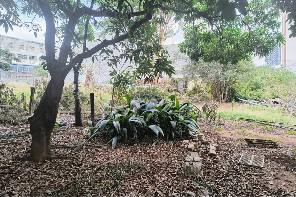 Terreno - Alugar - Campinas , São Paulo - WhatsApp Image 2025-06-30 at 16.57.01 (1).jpeg - 690681149-23