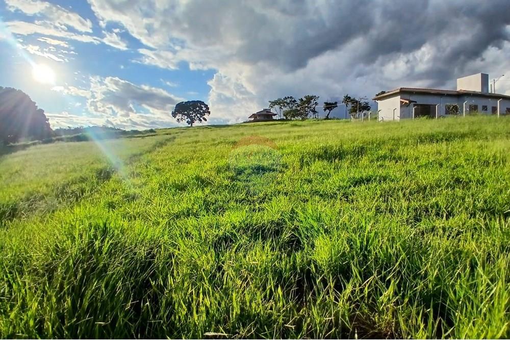 Chácara / Sítio / Fazenda - Venda - Itapira , São Paulo - WhatsApp Image 2025-04-08 at 15.05.03 (2).jpeg - 690291039-39