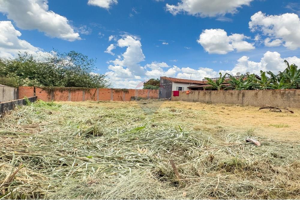 Terreno - Venda - Campinas , São Paulo - 9.JPG - 691181018-39