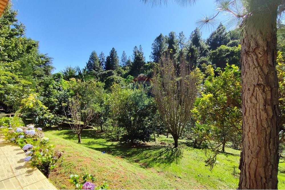 Casa - Venda - Águas de Lindóia , São Paulo - 1747830098730.jpg - 690291077-221