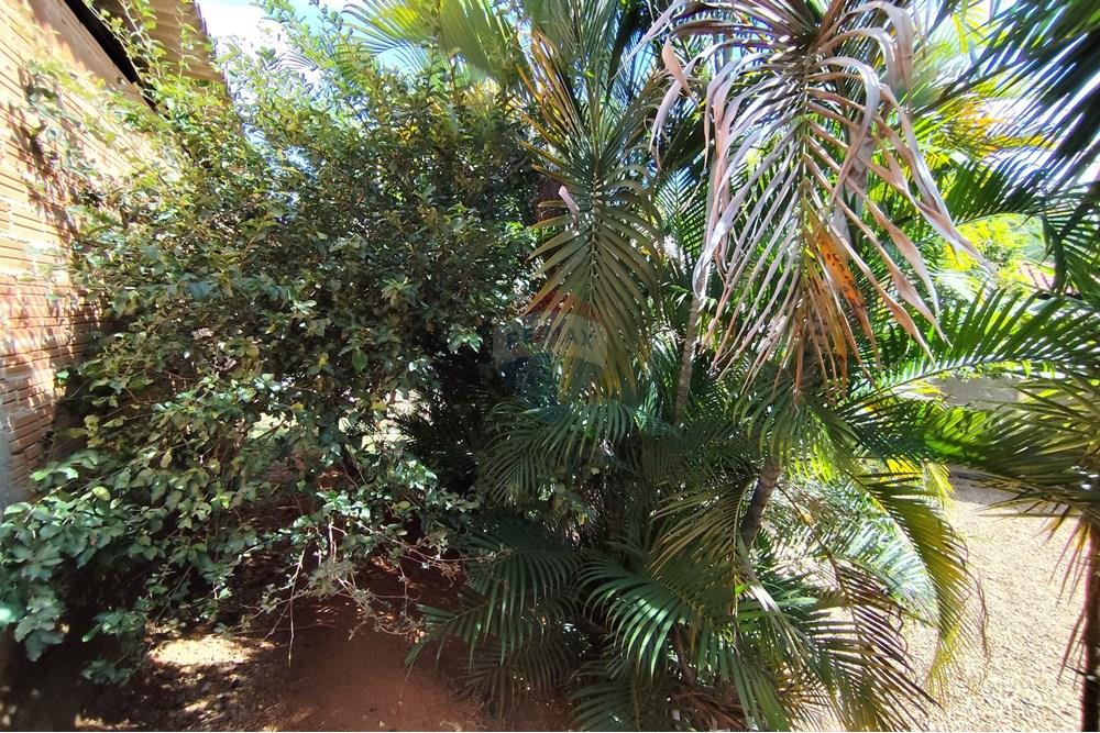 Chácara / Sítio / Fazenda - Venda - Itapira , São Paulo - 1751510168631.jpg - 690291077-251