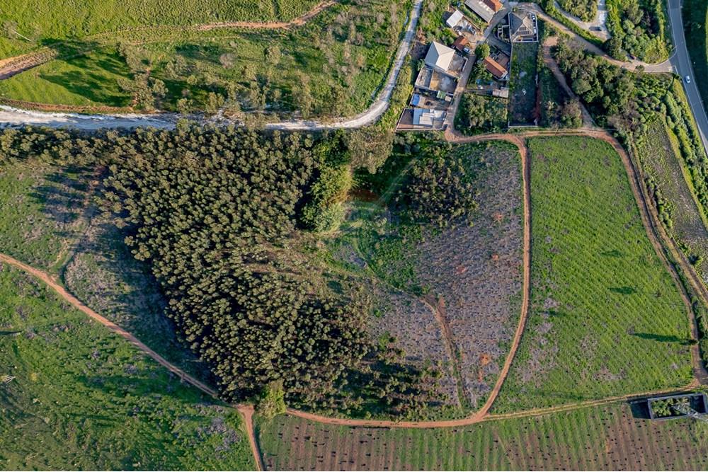 Terreno - Venda - Atibaia , São Paulo - RInf-20.jpg - 690921066-29