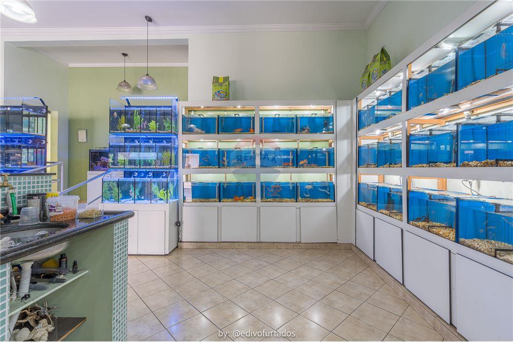 Ponto Comercial/ Loja - Venda - Vinhedo , São Paulo - 13 - 691091010-159