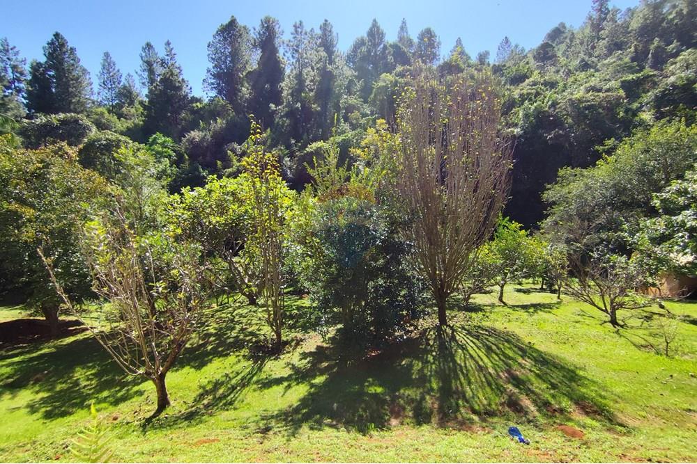 Casa - Venda - Águas de Lindóia , São Paulo - 1747830098711.jpg - 690291077-221