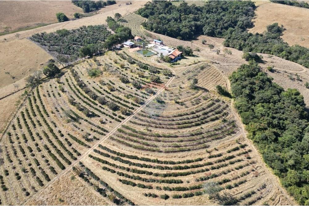 Chácara / Sítio / Fazenda - Venda - Monte Sião , Minas Gerais - WhatsApp Image 2025-07-18 at 18.05.01 (1).jpeg - Quintal - 690291077-219