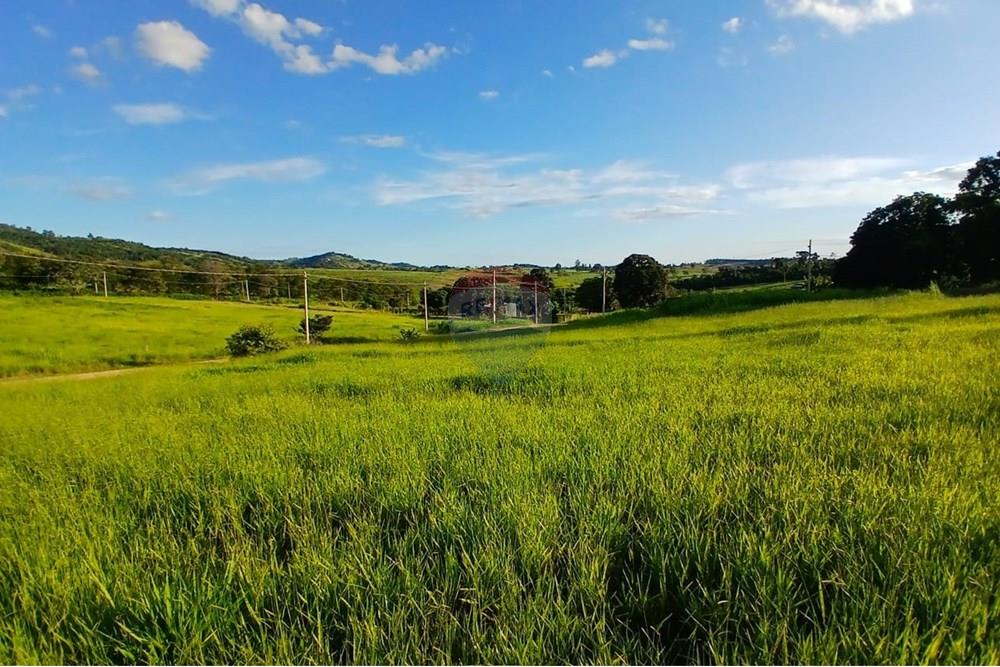 Chácara / Sítio / Fazenda - Venda - Itapira , São Paulo - WhatsApp Image 2025-04-08 at 15.04.59 (1).jpeg - 690291039-39
