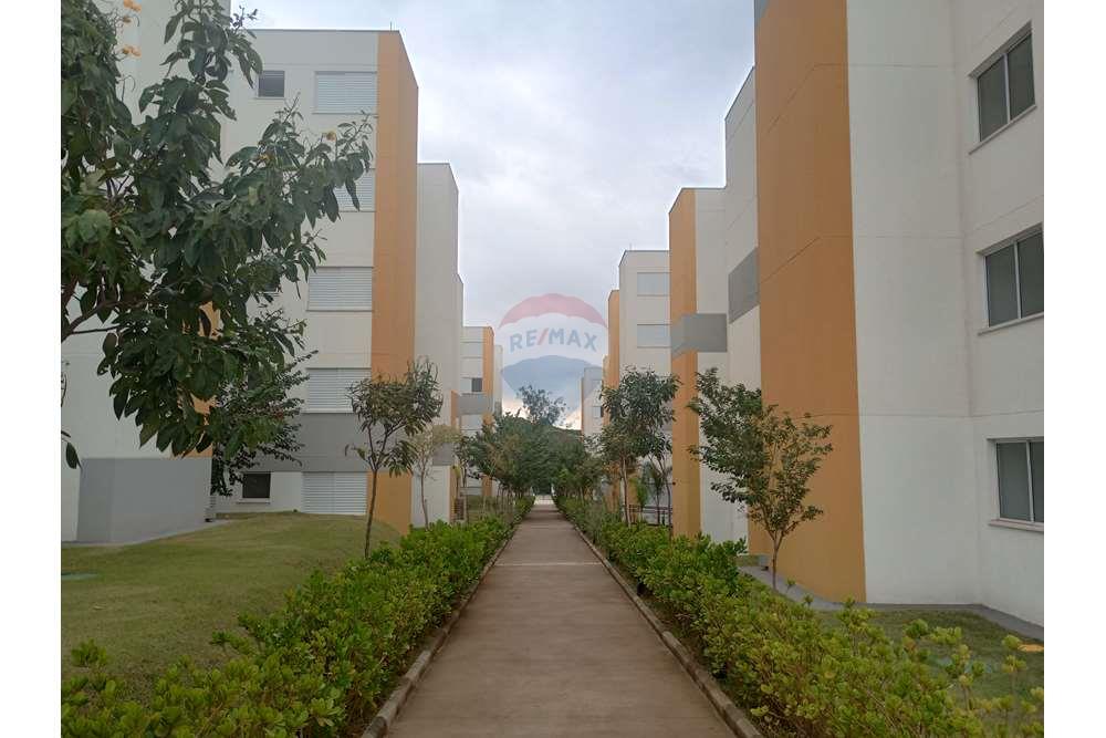 Apartamento - Alugar - Paulínia , São Paulo - IMG_20240528_104902612_HDR.jpg - 690511109-115