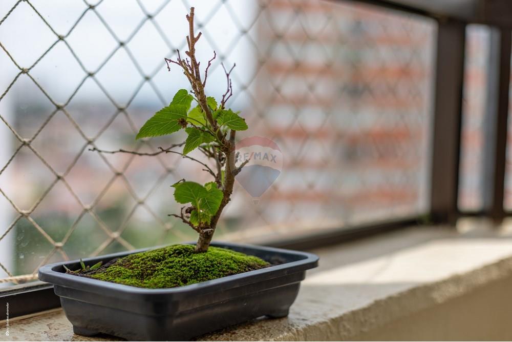 Apartamento - Venda - Campinas , São Paulo - TKD-5761.jpg - Varanda - 690681118-63