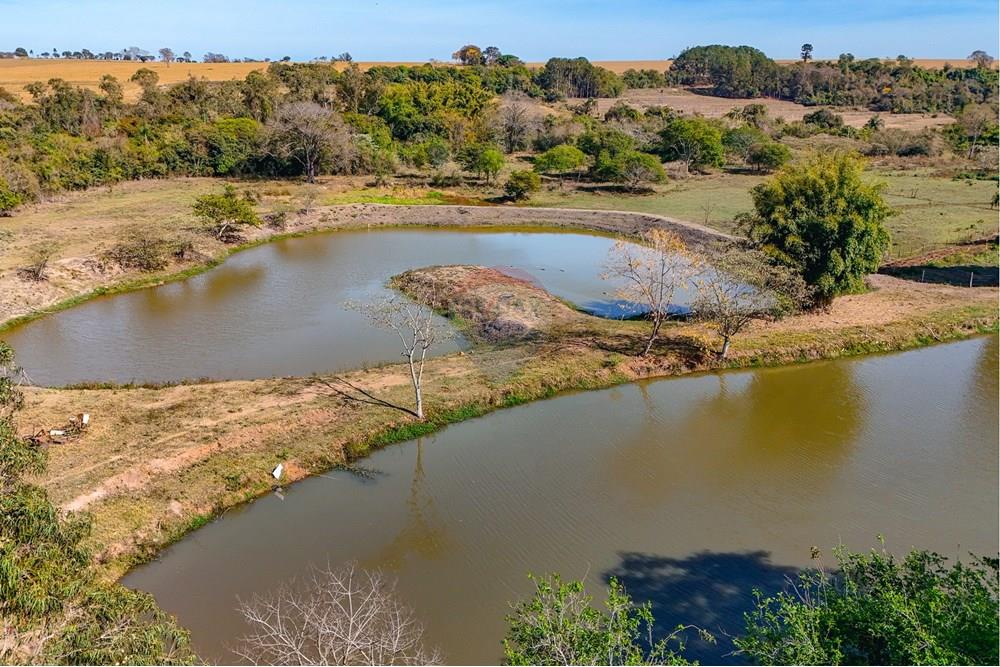 Chácara / Sítio / Fazenda - Venda - Santa Cruz da Conceição , São Paulo - Tratada-36.jpg - 690481001-177