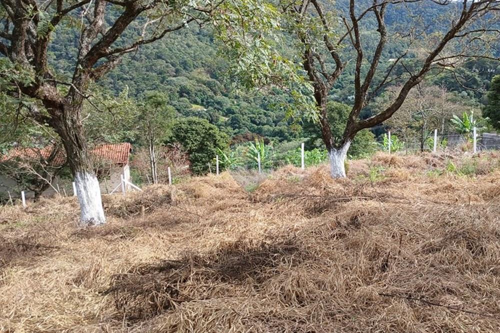 Terreno - Venda - Bragança Paulista , São Paulo - TERRENO CHACARAS FERNÃO DIAS  (10).jpg - 690141085-16