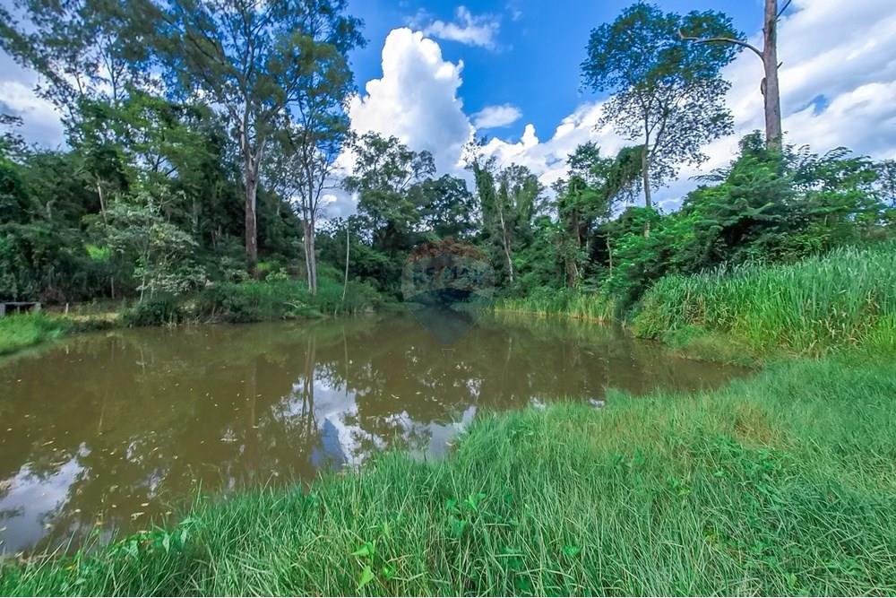 Chácara / Sítio / Fazenda - Venda - Araras , São Paulo - Tratada-63.jpg - 690691016-236