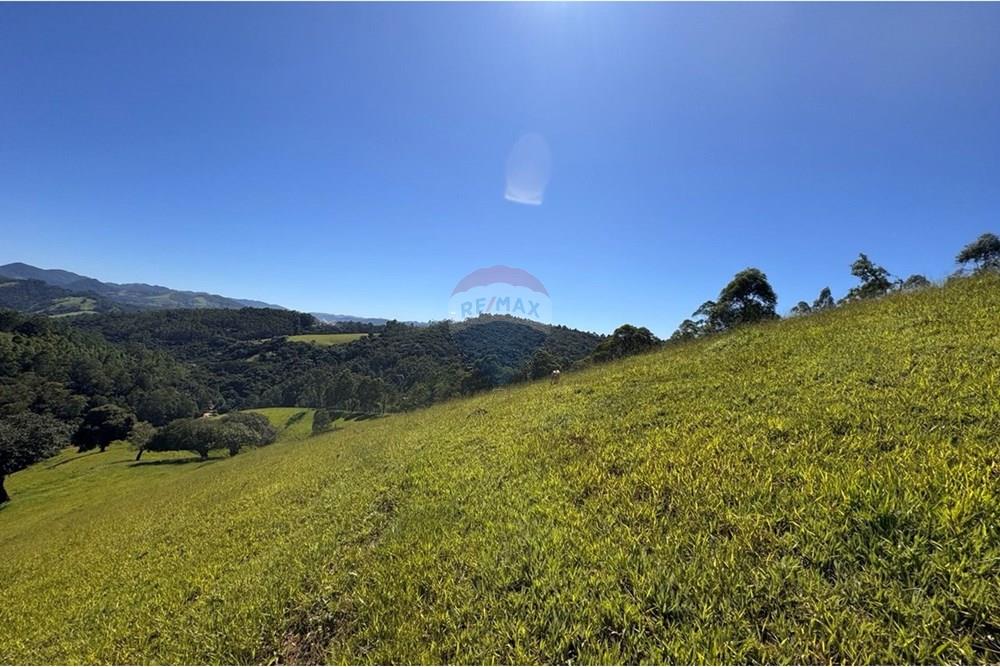 Chácara / Sítio / Fazenda - Venda - Joanópolis , São Paulo - photo_5019343269280201159_y.jpg - 690041001-120