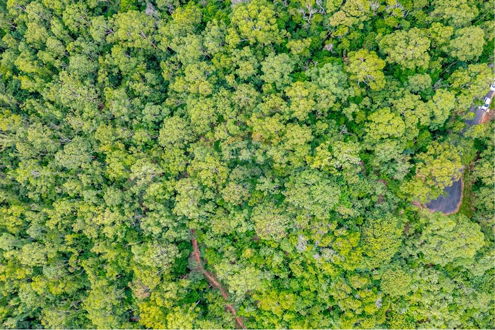 Terreno - Venda - Atibaia , São Paulo - R-INF-05.jpg - 690921107-2