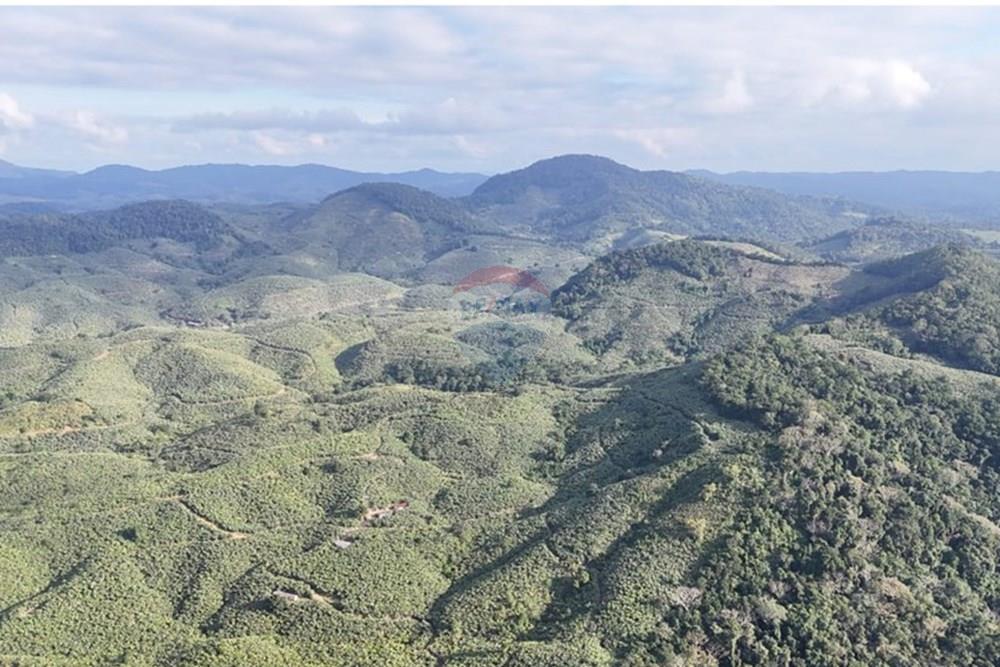 Fazenda - Venda - Miracatu , São Paulo - WhatsApp Image 2025-06-02 at 19.49.46 (1).jpeg - 690061038-8