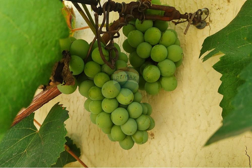 Casa - Venda - Cosmópolis , São Paulo - IMG_20231123_152540904.jpg - 690831005-1070