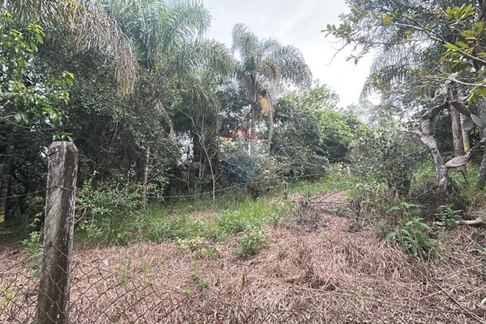 Chácara / Sítio / Fazenda - Venda - Amparo , São Paulo - WhatsApp Image 2025-06-24 at 11.21.30 (5).jpeg - 690661027-111