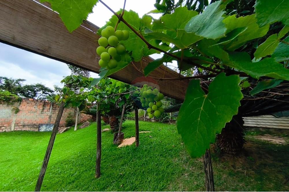 Terreno - Venda - Mogi Guaçu , São Paulo - WhatsApp Image 2025-04-25 at 17.30.51 (3).jpeg - 690521018-181