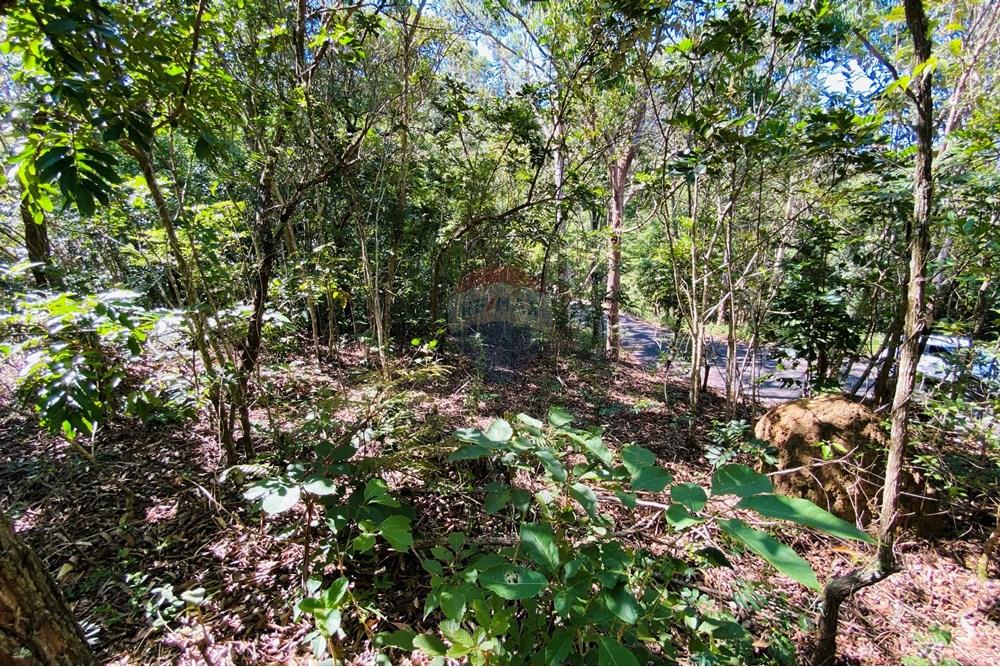 Terreno - Venda - Atibaia , São Paulo - IMG_0078.jpg - 690921107-2