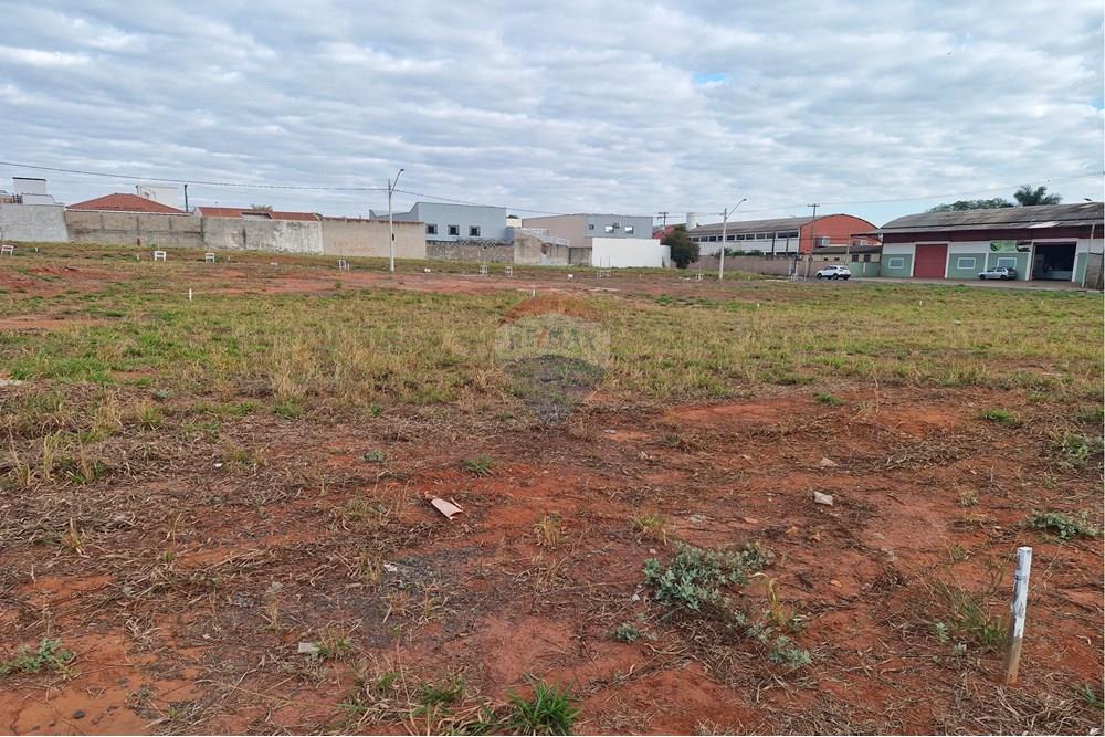 Terreno - Venda - Mogi Mirim , São Paulo - 20250710_082728.jpg - 690751034-116